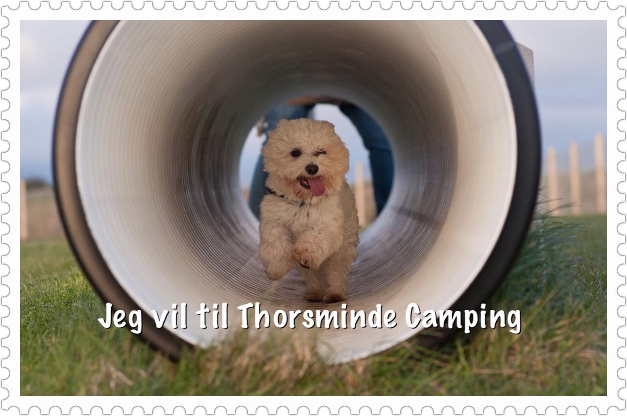 Thorsminde Camping & Cottages Dış mekan fotoğraf